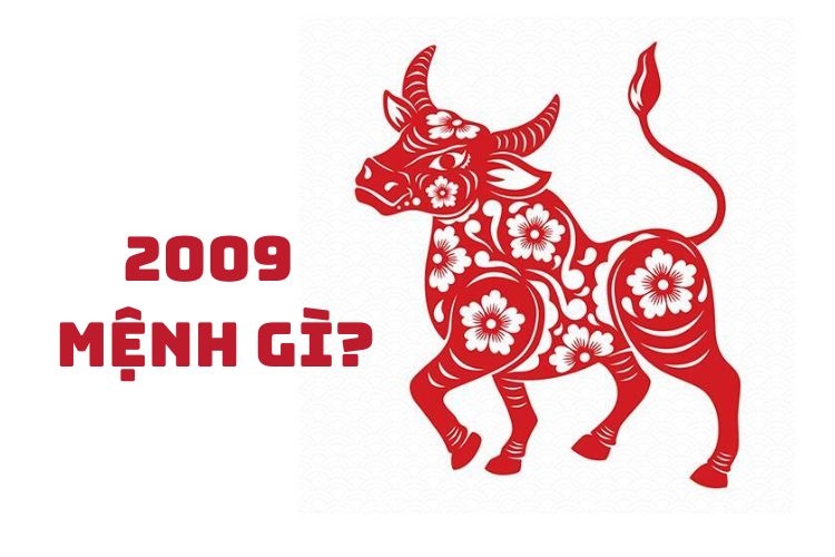 Vận mệnh năm 2009 thế nào? Bật mí bí quyết chọn màu sắc, nghề nghiệp phù hợp với tuổi Kỷ Sửu mang lại may mắn